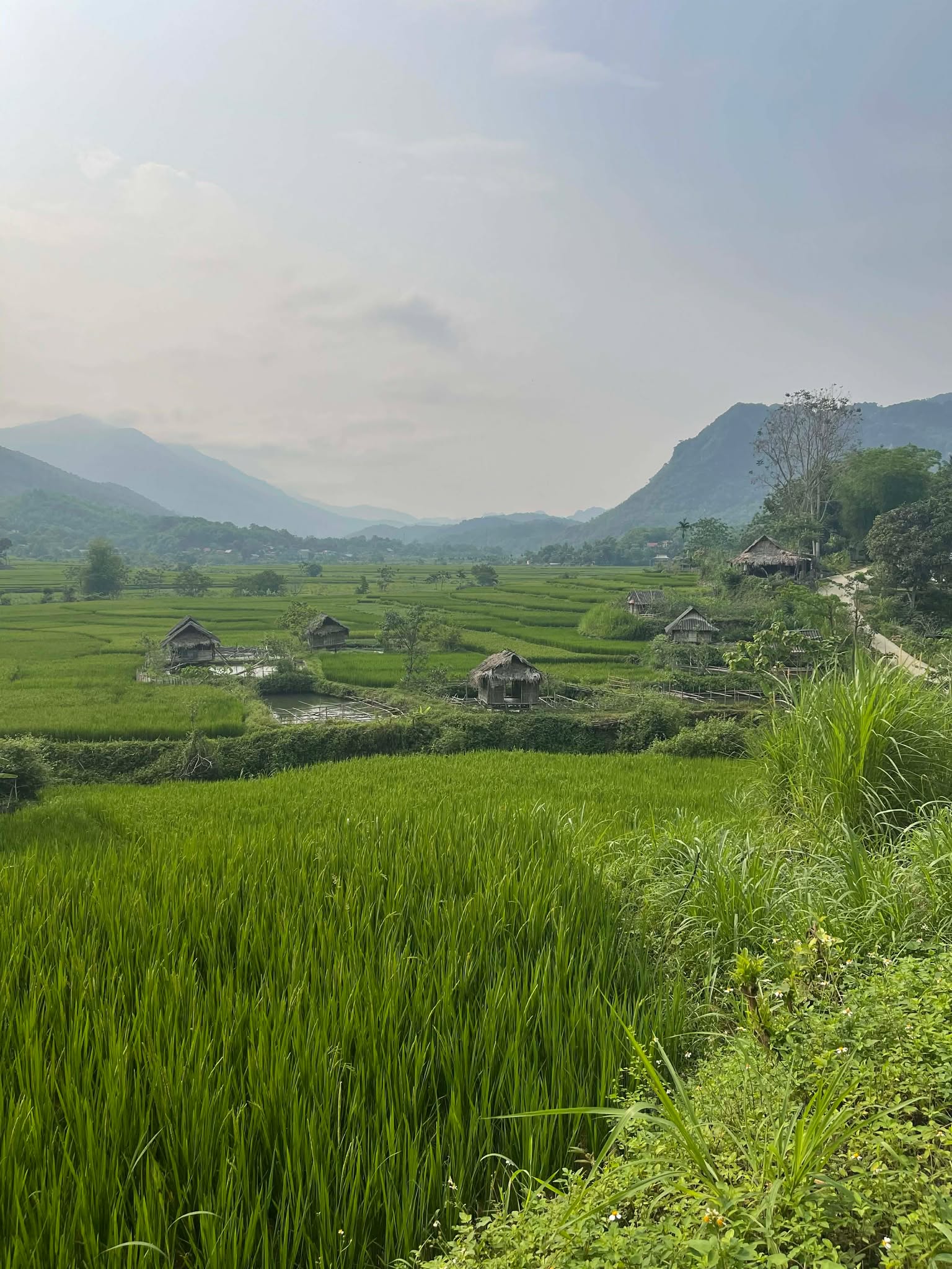 Pu Luong